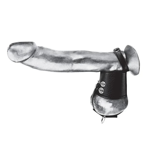 Anneau d'érection avec étireur de testicules - 2.5" (6.4cm) BlueLine Men Sensations plus