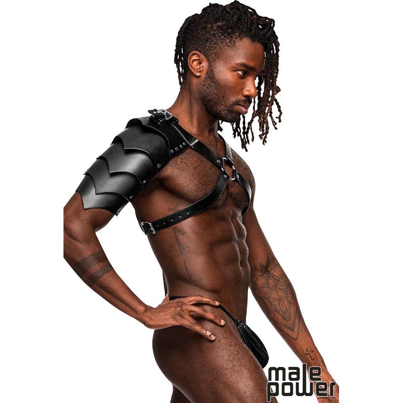 Harnais - Male Power - Aquarius Leather Chest Harness Sensations Plus Sensations plus