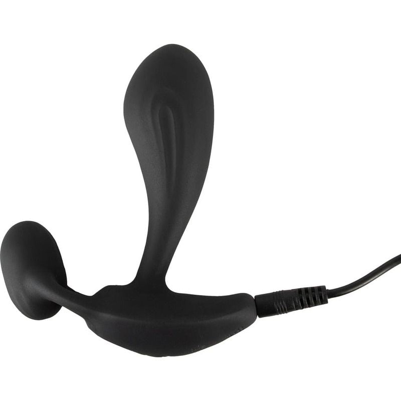 Stimulateur de Prostate Vibrant - Rebel - RC Two Spot Massager Rebel Sensations plus