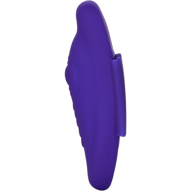 Vibrateur à Distance - Calexotics - Pulsating Panty Teaser CalExotics Sensations plus