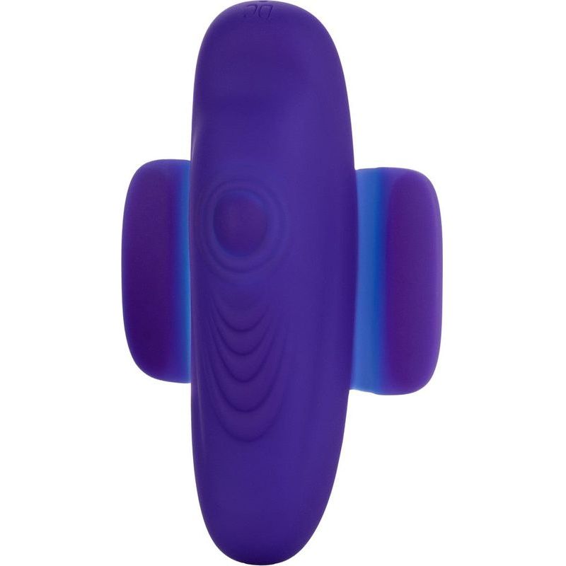Vibrateur à Distance - Calexotics - Pulsating Panty Teaser CalExotics Sensations plus