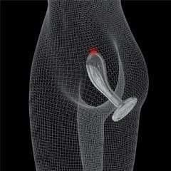 Stimulateur de Prostate - Flawless Clear - Prostate Plug 6 pouces Flawless Clear Sensations plus