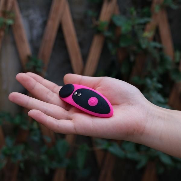 Vibrateur à Distance - Lovense - Ferri Lovense Sensations plus