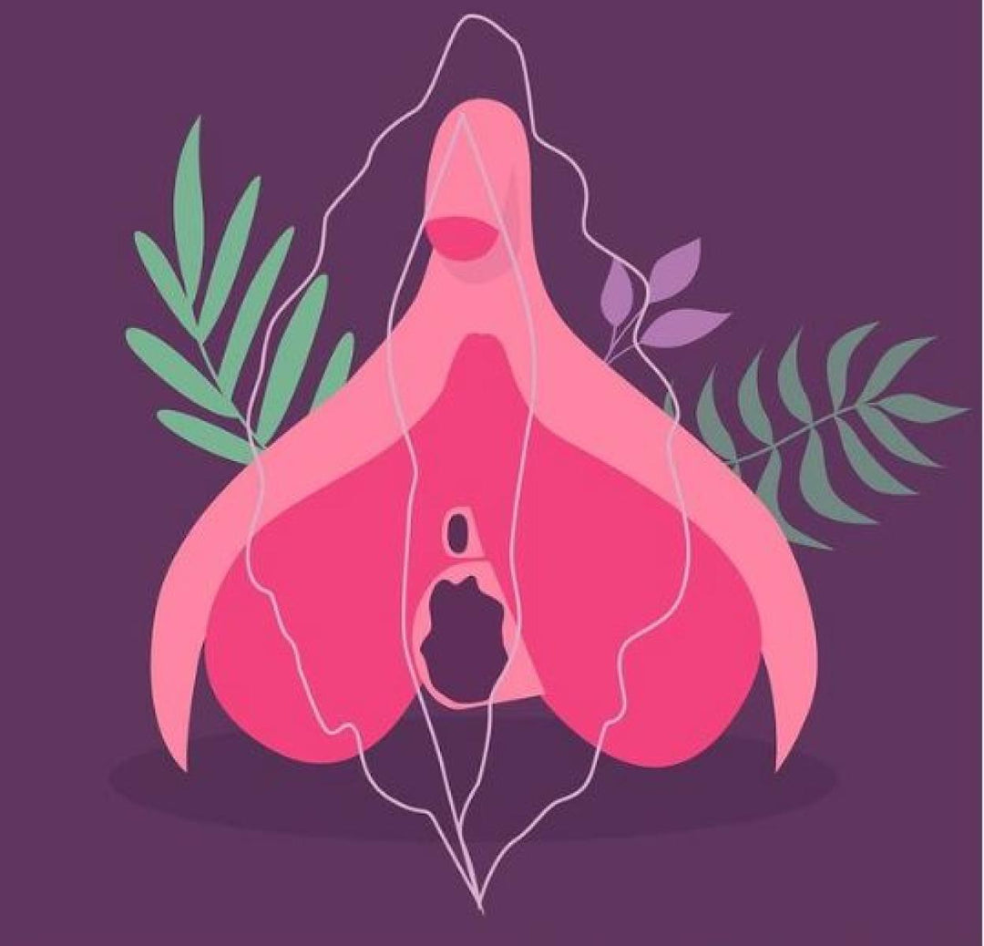 Les mystères du clitoris
