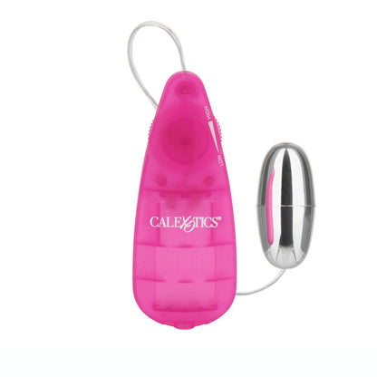 Oeuf Argenté Eco Pack - Pocket Exotics | CalExotics