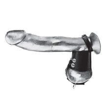 Anneau d'érection avec étireur de testicules - 2.5" (6.4cm) BlueLine Men Sensations plus
