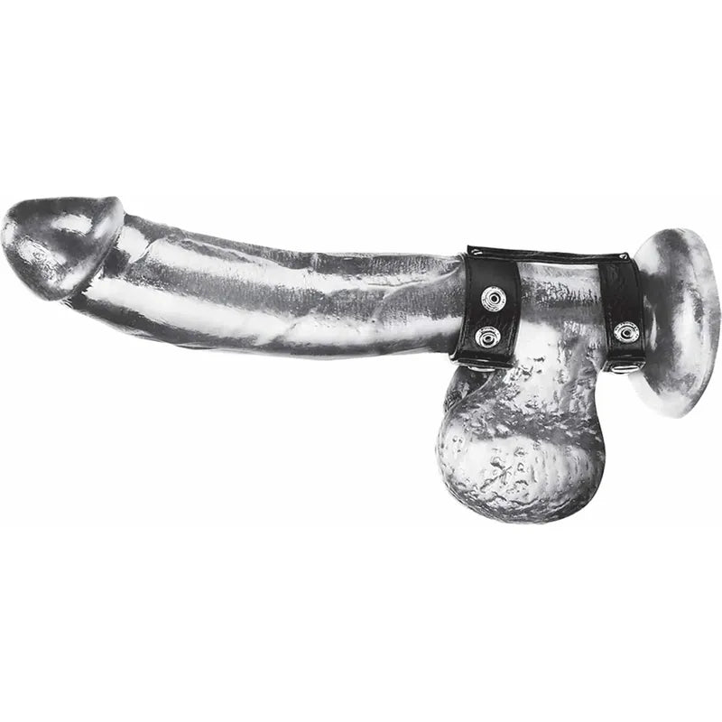 Anneau d'erection et testicules en duo avec Snap Duo Snap Cock & Ball Ring Sensations Plus Sensations plus