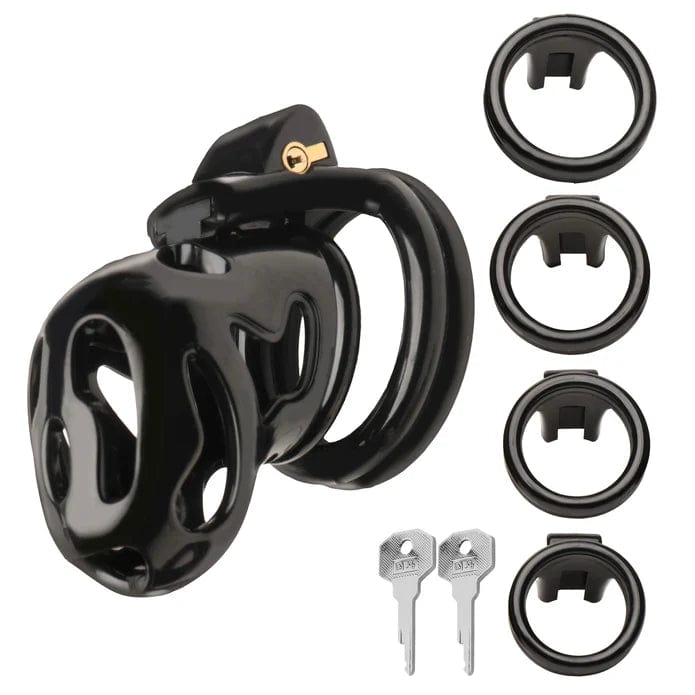 Cage de Chasteté Master Series -  Hard Stop Double Ring Chastity Cage Master Series Sensations plus