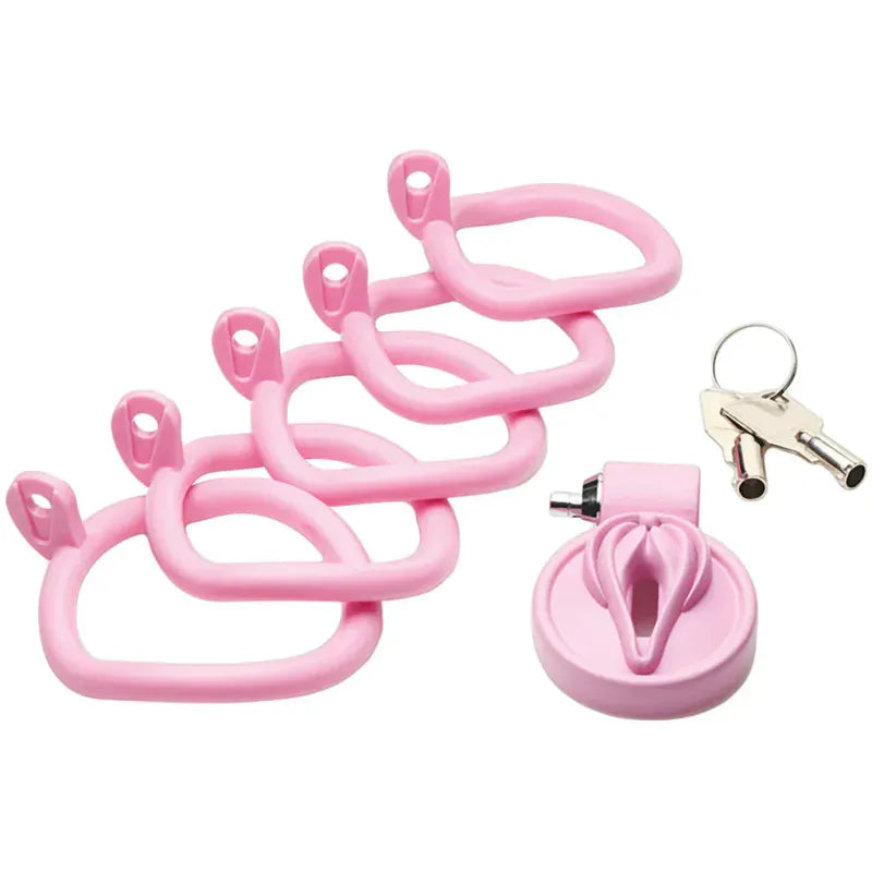 Cage de Chasteté Mini Cage - Master Series Pussification Vulva | Confortable & Sécuritaire Master Series Sensations plus