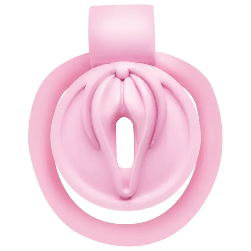 Cage de Chasteté Mini Cage - Master Series Pussification Vulva | Confortable & Sécuritaire Master Series Sensations plus