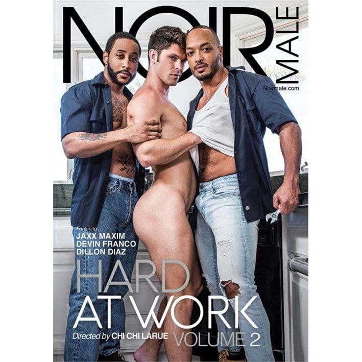 DVD - Hard At Work Vol. 2 - Noir Male Noir Male Sensations plus