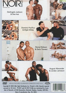 DVD - Noir Male - Hardcore Hookups Vol. 4 Noir Male Sensations plus