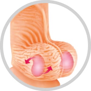 Dildo Réaliste, Prépuce & Ventouse - Real Jo 17,5cm | Real Body