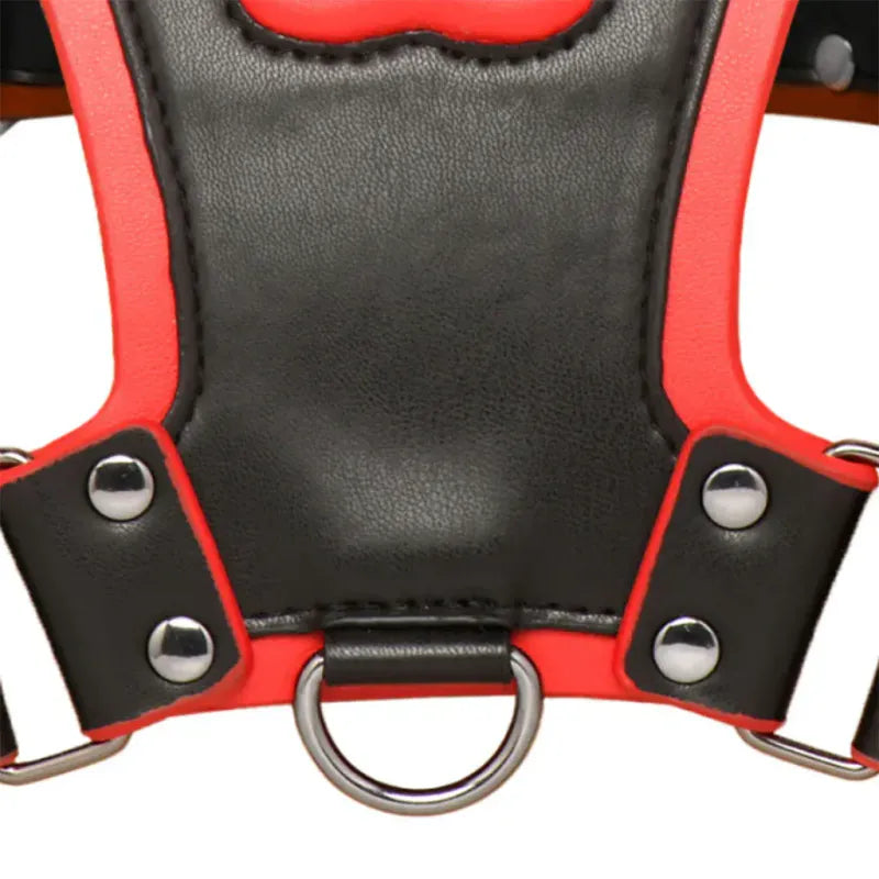 Harnais Puppy Play - Alpha Pup Bulldog Harness | Ajustable en Cuir Vegan Durable & Stylé Master Series Sensations plus