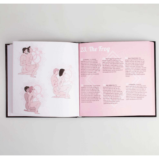 Livre pour Briser la Routine - Kamasutra | 69 Nouvelles Positions Sexuelle Secret Play Games Sensations plus