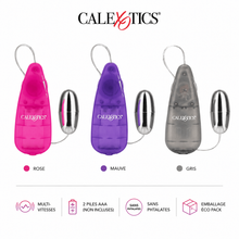Oeuf Argenté Eco Pack - Pocket Exotics | CalExotics Calexotics Sensations plus