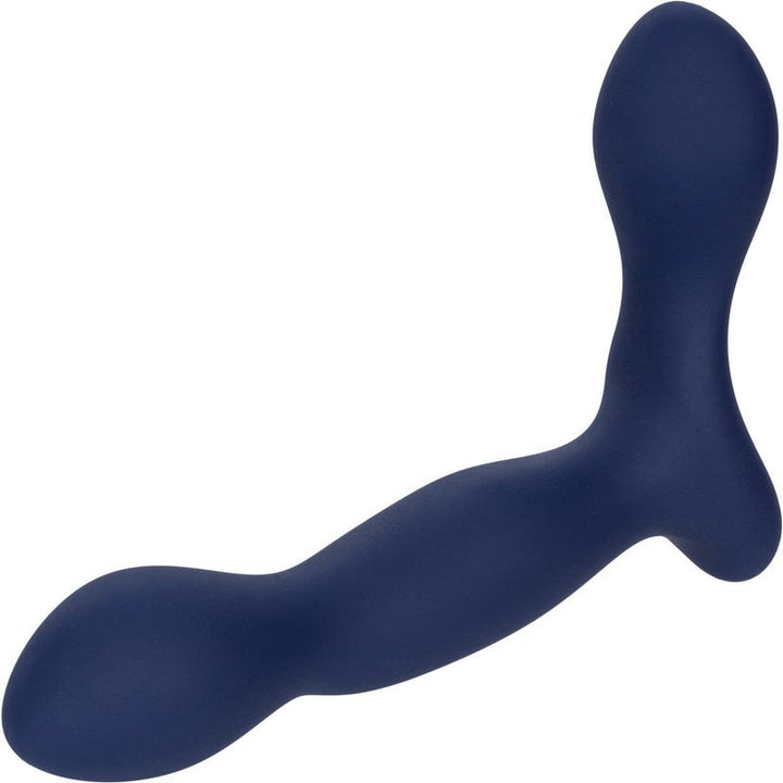 Stimulateur de Prostate - Calexotics - Viceroy Expert Probe CalExotics Sensations plus