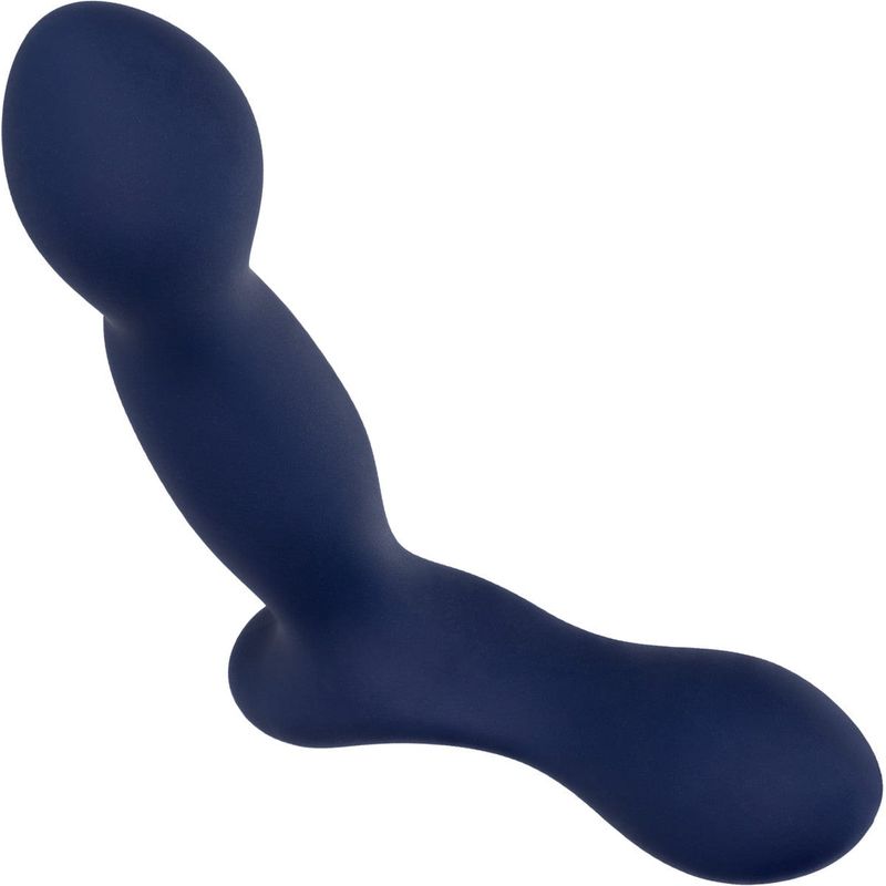 Stimulateur de Prostate - Calexotics - Viceroy Expert Probe CalExotics Sensations plus