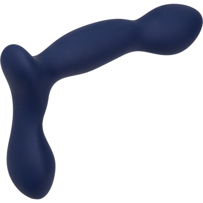 Stimulateur de Prostate - Calexotics - Viceroy Expert Probe CalExotics Sensations plus