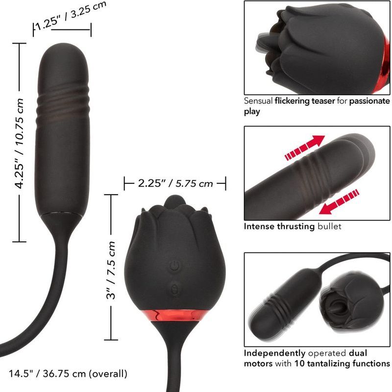 Vibrateur - Calexotics - French Kiss Elite Romeo CalExotics Sensations plus