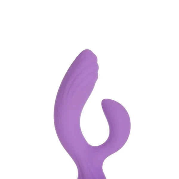 Vibrateur double stimulation - BMS Factory - Purple Vibe BMS Sensations plus