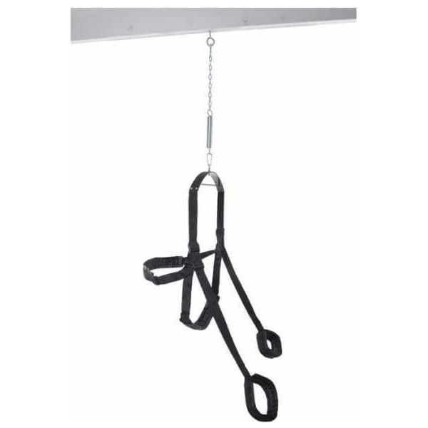 Balançoire - Fetish Fantasy Series - Fantasy Swing Pipedream Sensations plus