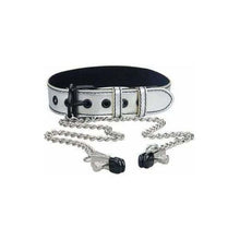 Collier Avec Pinces - Bondage Fetish - Metallic Silver Bondage Fetish Sensations plus