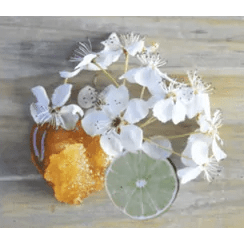 Produit de Bain - Crème de Rasage - Hemp Seed - Isle of You Earthly Body Sensations plus