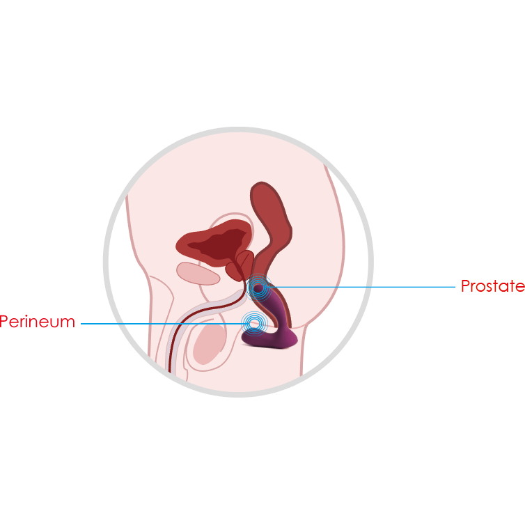 Stimulateur de Prostate Vibrant - Svakom - Vick Neo Svakom Sensations plus